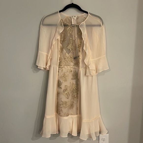 BCBGMaxAzria Cream and Tan Dress - Picture 2 of 10